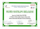 Op. Dr. Mustafa Murat Öztürk Plastik Rekonstrüktif ve Estetik Cerrahi sertifikası