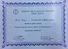 Uzm. Dr. Pelin Akgün Gerçek Çocuk Sağlığı ve Hastalıkları sertifikası