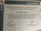 Doç. Dr. Serdar Toker El Cerrahisi ve Mikrocerrahi sertifikası