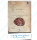 Dr. Öğr. Üyesi Turgut Kuytu Beyin ve Sinir Cerrahisi sertifikası