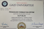 Uzm. Psk. Elif Silav Psikoloji sertifikası