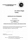 Doç. Dr. Emine Çiloğlu Göz Hastalıkları sertifikası