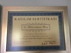 Dr. Abdurrahman Aksoy Akupunktur sertifikası