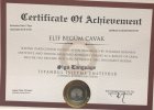 Psk. Elif Begüm Cavak Psikoloji sertifikası
