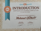 Fzt. Mehmet Günay Fizyoterapi sertifikası