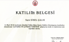 Uzm. Psk. Sibel Kuru Psikoloji sertifikası