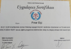Uzm. Psk. Dan. Pınar ELÇİ Psikoloji sertifikası