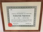 Prof. Dr. Y. Tarkan Soygür Çocuk Ürolojisi sertifikası