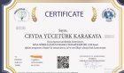 Aile Danışmanı Ceyda Yücetürk Aile Danışmanı sertifikası