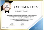 Çocuk Gelişim Uzmanı Ayşenur Karabacak Çocuk Gelişim Uzmanı sertifikası