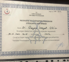 Op. Dr. Gayem İnayet Turgay Kadın Hastalıkları ve Doğum sertifikası