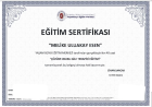 Psk. Melike Uluakay Esen Psikoloji sertifikası