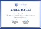 Dt. Tuğba Kavlak Diş Hekimi sertifikası