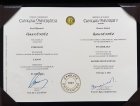 Psk. Öykü Gündüz Psikoloji sertifikası