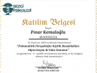Uzm. Kl. Psk. Pınar Kemaloğlu Psikoloji sertifikası