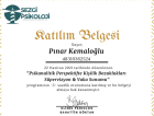 Uzm. Kl. Psk. Pınar Kemaloğlu Psikoloji sertifikası