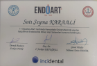 Dt. Şeyma Karaali Diş Hekimi sertifikası