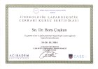 Doç. Dr. Bora Coskun Kadın Hastalıkları ve Doğum sertifikası