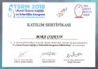 Doç. Dr. Bora Coskun Kadın Hastalıkları ve Doğum sertifikası