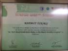 Prof. Dr. Mahmut Özkırış Kulak Burun Boğaz hastalıkları - KBB sertifikası