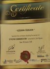 Psk. Gizem Özkan Dolmacı Psikoloji sertifikası