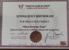 Psk. Dan. Nur Dilşat Küçükoğlu Psikolojik Danışman sertifikası