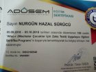 Psk. Dan. Hazal Sürücü Psikoloji sertifikası