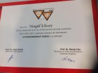 Op. Dr. Nurgül Ulusoy Kadın Hastalıkları ve Doğum sertifikası