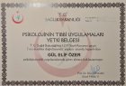 Uzm. Psk. Gül Elif Özer Psikoloji sertifikası