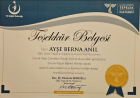 Prof. Dr. Ayşe Berna Anıl Çocuk Sağlığı ve Hastalıkları sertifikası