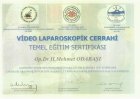 Prof. Dr. Hacı Mehmet Odabaşı Genel Cerrahi sertifikası