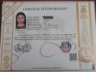 Dyt. Gizem Çiydem Diyetisyen sertifikası