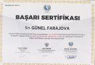 Psk. Dan. Günel Kudretli Psikolojik Danışman sertifikası