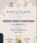 Klinik Psikolog  Gözde Gizem Tandoğan Psikoloji sertifikası