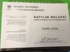 Psk. Dan. Emre Gürel Psikoloji sertifikası