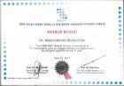 Op. Dr. Abdurrahman Bozkurttan Kulak Burun Boğaz hastalıkları - KBB sertifikası