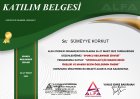 Dyt. Sümeyye Korkut Diyetisyen sertifikası