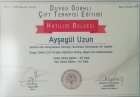 Uzm. Psk. Ayşegül Özkan Uzun Psikoloji sertifikası