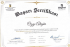 Psk. Özge Akgün Psikoloji sertifikası