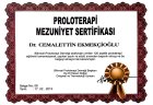 Dr. Cemalettin Ekmekcioğlu Geleneksel ve Tamamlayıcı Tıp sertifikası