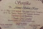 Doç. Dr. Ahmet Bülent Kargı Göğüs Cerrahisi sertifikası