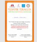 Doç. Dr. Bahar Göktürk Çocuk Sağlığı ve Hastalıkları sertifikası