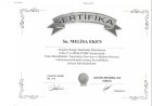 Uzm. Dyt. Melisa Eken Diyetisyen sertifikası