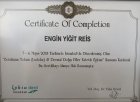 Dt. Engin Yiğit Reis Diş Hekimi sertifikası