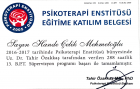 Psikoterapist Hande Çelik Mehmetoğlu Aile Danışmanı sertifikası