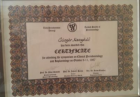 Uzm. Dr. Dt. Mehmet Güngör Karagözlü Diş Hekimi sertifikası