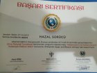 Psk. Dan. Hazal Sürücü Psikoloji sertifikası