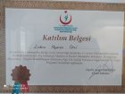 Dt. Erdem Alperen OFLİ Diş Hekimi sertifikası