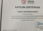 Psk. Gülay Cantemur Psikoloji sertifikası