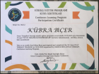 Klinik Psikolog  Kübra Biçer Gürel Klinik Psikolog sertifikası